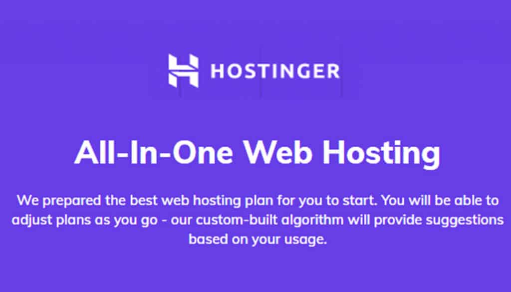 Hostinger Web Hosting Review (Quality + Speed Tests) In 2024 Updated