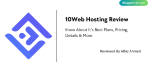 10Web Hosting Review