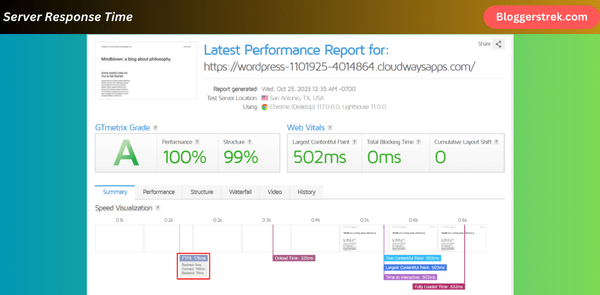 Server Response Time