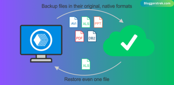 Backup And Restoration